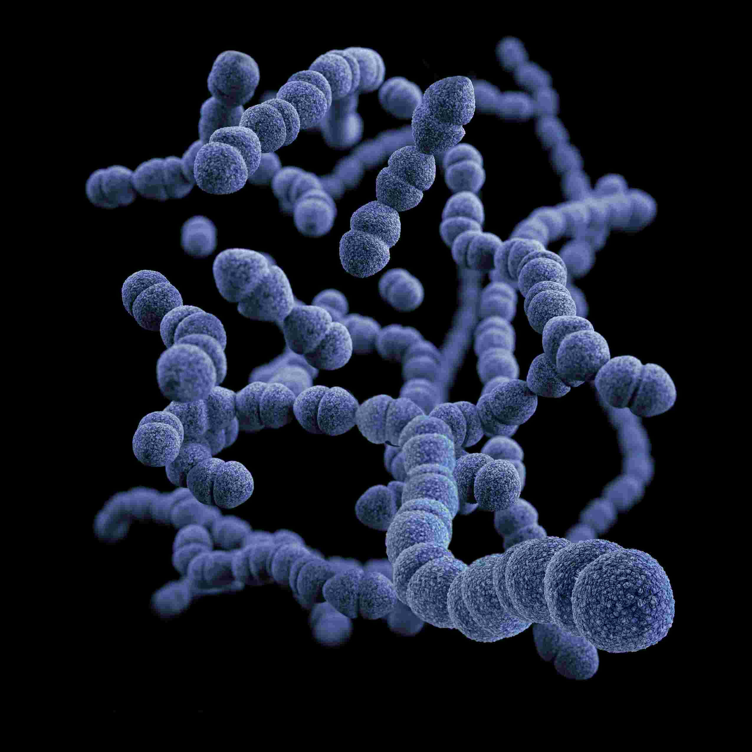 23_Immune system disorders include autoimmune diseases and allergies. Strengthening Your Immune System