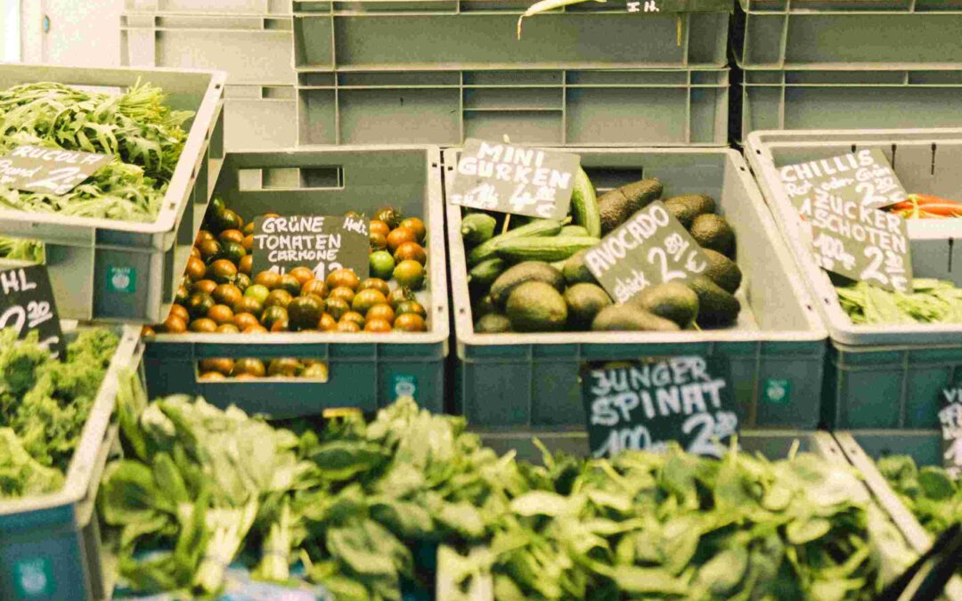 Sustainable Nutrition and Eco-Friendly Consumption