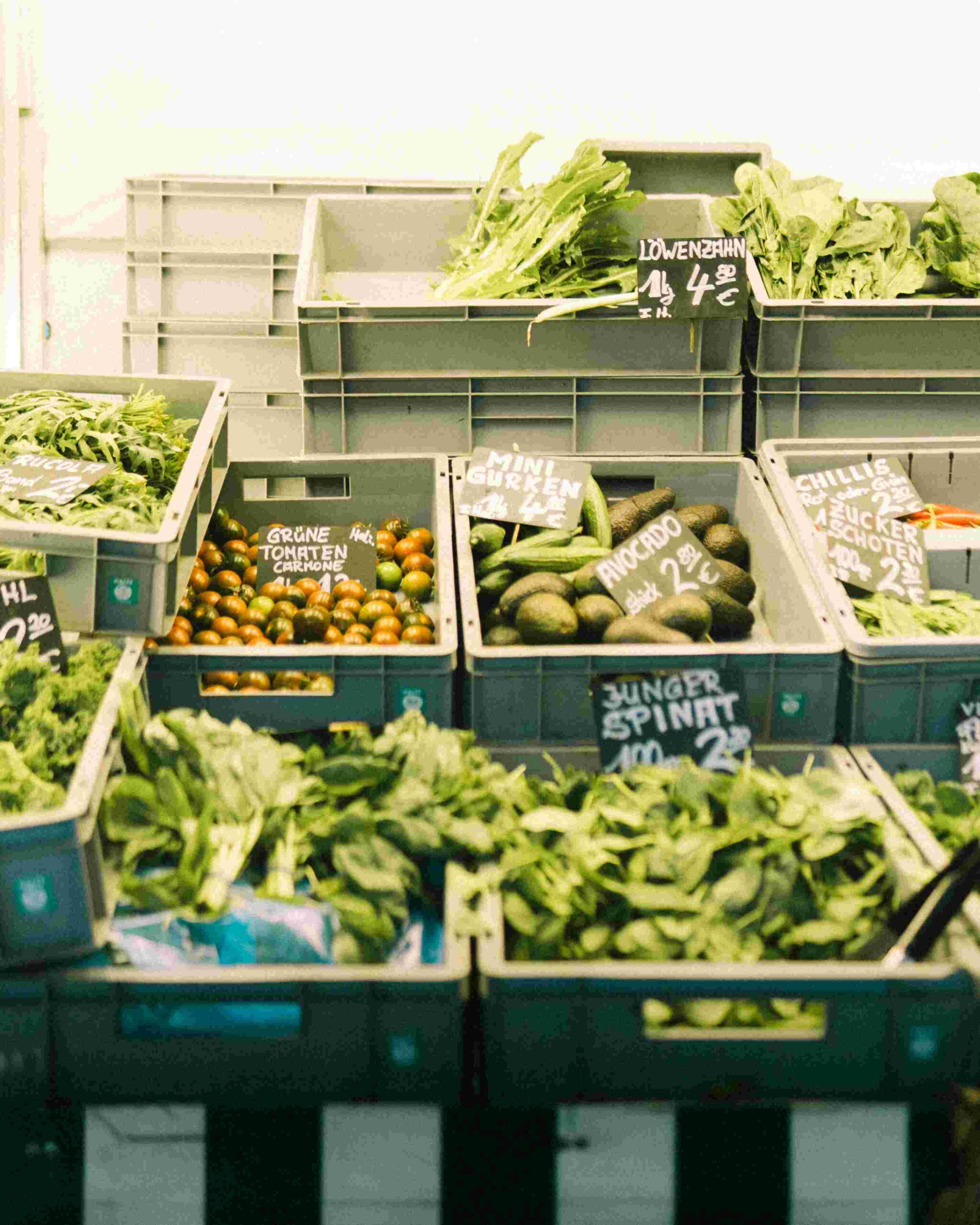Sustainable Nutrition and Eco-Friendly Consumption
