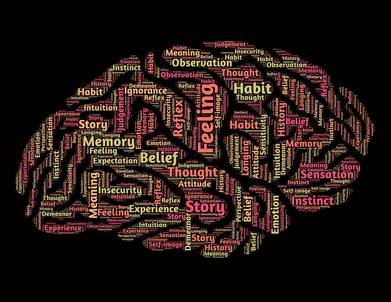 Understanding the Nervous System