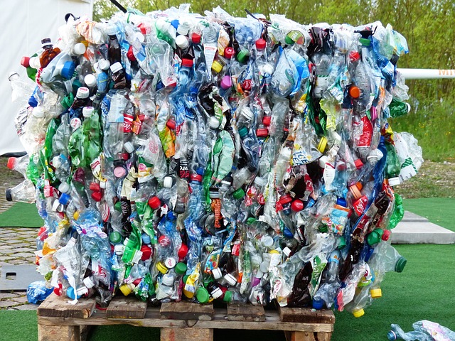 The Negative Impacts of Plastic Usage on Health and the Environment