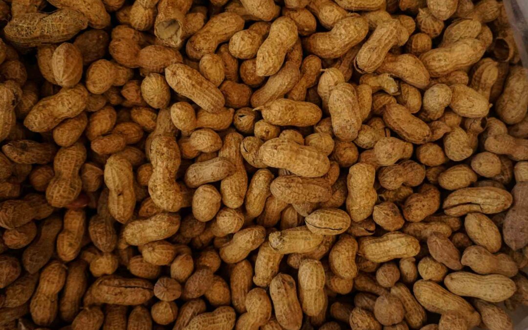 Food Allergies: Causes, Symptoms, and Management
